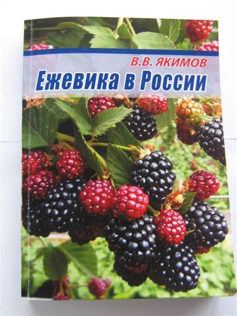 Ежевичный сад | Каталог и цены