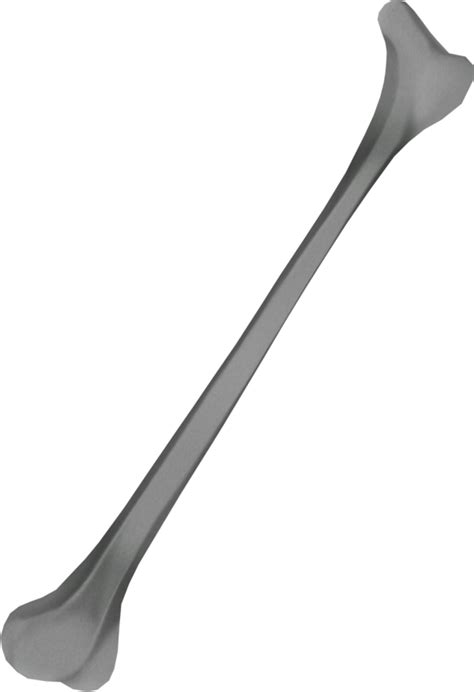 Bone | Megami Tensei Wiki