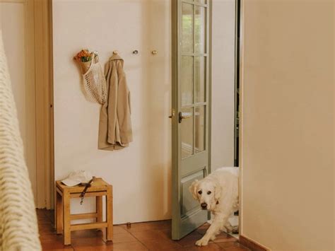 Home, Kitchen & Bathroom Accessories | COSMIC