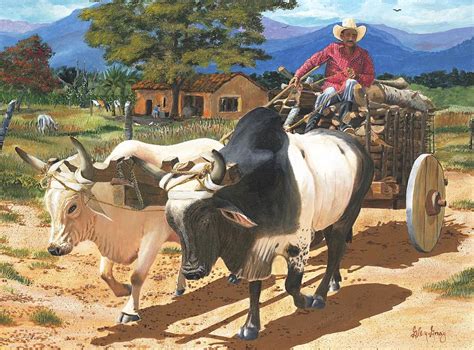 Honduran Ox Cart Painting by Glen Gray