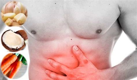 Remedios caseros para gusanos intestinales - Salud teu