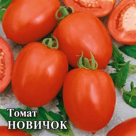 Томат новичок: описание и характеристика сорта, фото, отзывы, урожайность