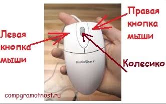 Компьютерная мышь