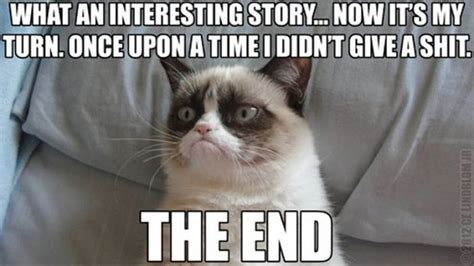 21 Grumpy Cat memes you can relate to every Monday of your life - India.com