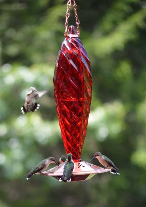 Shop for Hummingbird Decorative Feeders. Beautiful Glass Feeders.