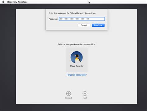 What can you do at the password prompt in Catalina’s recovery mode ...