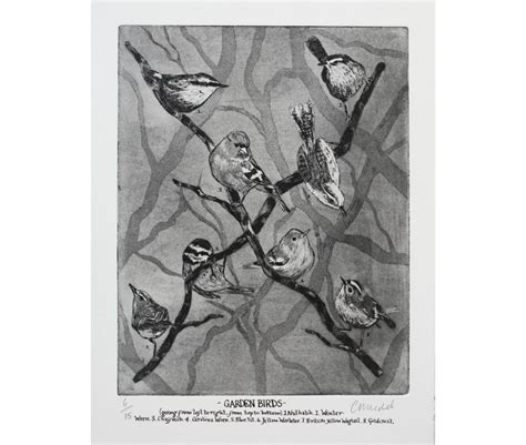 Birds Etching-bird Print Bird Art drawing of Birds garden - Etsy