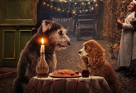 A Dama E O Vagabundo 2019 - La dama y el vagabundo (2019) crítica: un inofensivo remake en acción ...