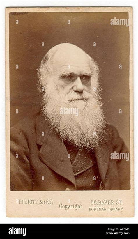 charlesdarwin elliott fry stock photo alamy