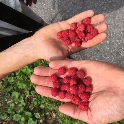 losine reisefuehrer reisetipps outdooractive