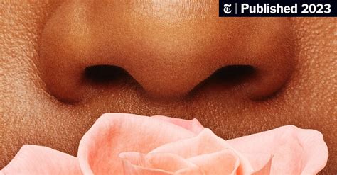 What the Nose Knows: The Underappreciated Olfactory Sense - The New ...