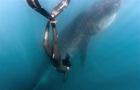 Estrella Navarro marca un nuevo récord de buceo libre