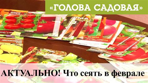 Голова садовая - АКТУАЛЬНО! Что сеять в феврале - YouTube