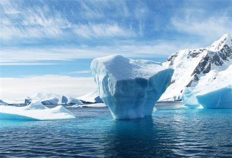 Características Do Clima Polar - Clima polar: localização, características, tipos, fauna, flora ...