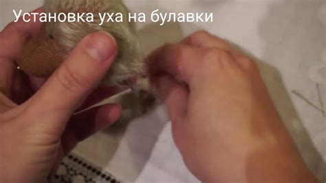 Установка уха на булавки - YouTube