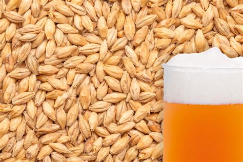 BEST Pale Ale (25kg) - BrewCraft