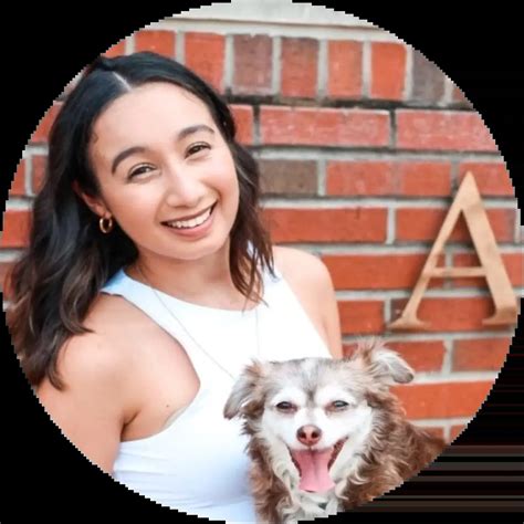 GDV (Bloat) in Dogs: Symptoms, Causes, and Emergency Care | Spot Pet