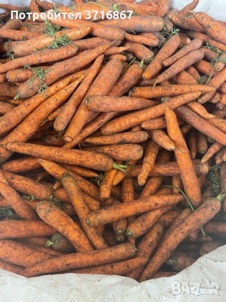 Морков в Домашни продукти в гр. София - ID43814703 — Bazar.bg