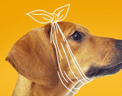 Dentastix Projects | Photos, videos, logos, illustrations and branding ...