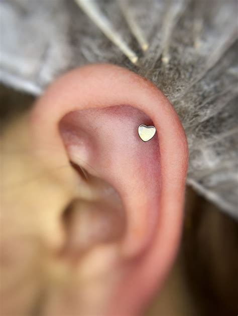 Helix, Nose Ring, Stud Earrings, Photo And Video, Jewelry, Jewels ...