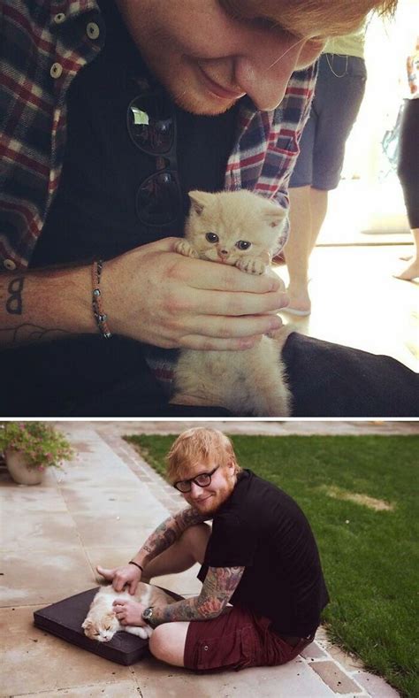 Adorable Cats Proudly Pose For Photos With Their Celebrity Parents