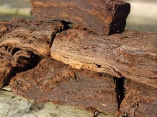 Peat - purpose, origin, extraction, uses and alternatives
