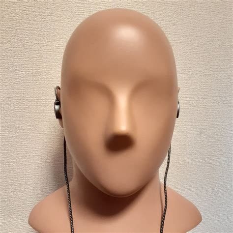 (Chi-fi IEM Review) RAPTGO LEAF: Best-in-class studio monitor sound in ...