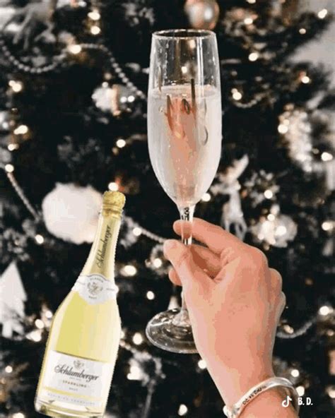 Sretna Nova Godina GIF - Sretna Nova Godina - Discover & Share GIFs