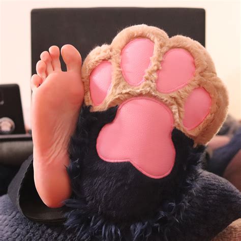 Artemis on Twitter: "Was thinking about that #MyPawsvsMyFeet trend from ...