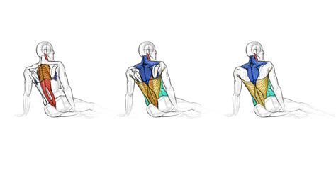 Analytical Figure Drawing: Week5 on Behance