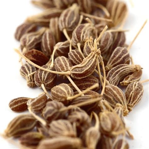 Mis recetas y artículos sobre la dieta Dukan: Infusions low calorie