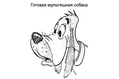 Как нарисовать морду собаки | карандашом, поэтапно, ребенку