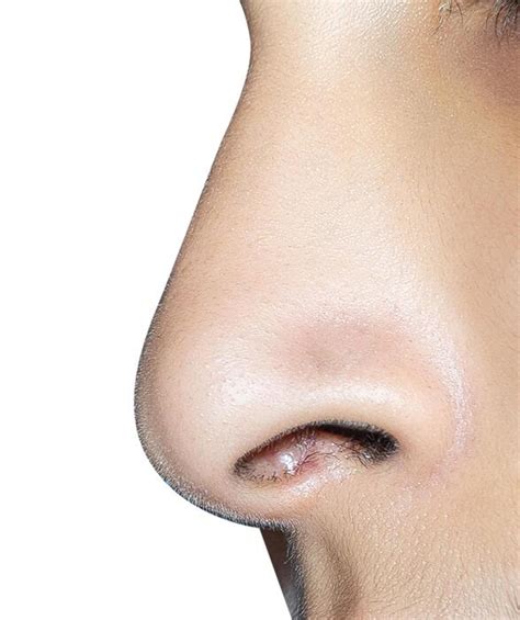 nose stock  images  backgrounds