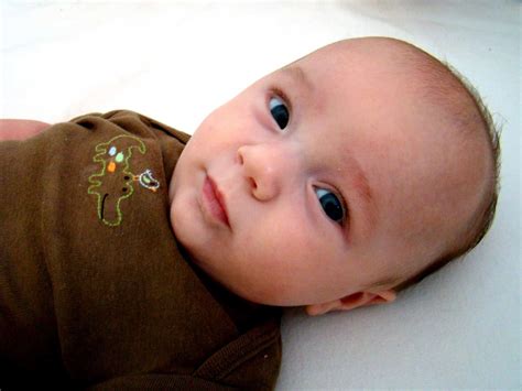 months   journey  parenthood