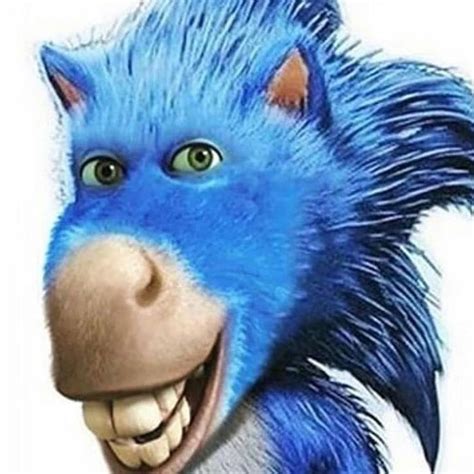 Denki Kaminari - ᔕTᗩTIOᑎᗩᖇY in 2021 | Shrek memes, Stupid funny memes ...