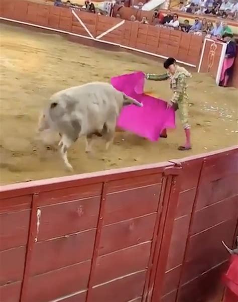 Horrifying video captures moment bull gores Spanish matador in the ...