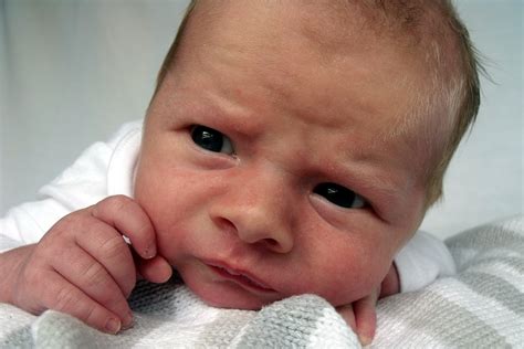 newborn sceptical human  photo  pixabay pixabay