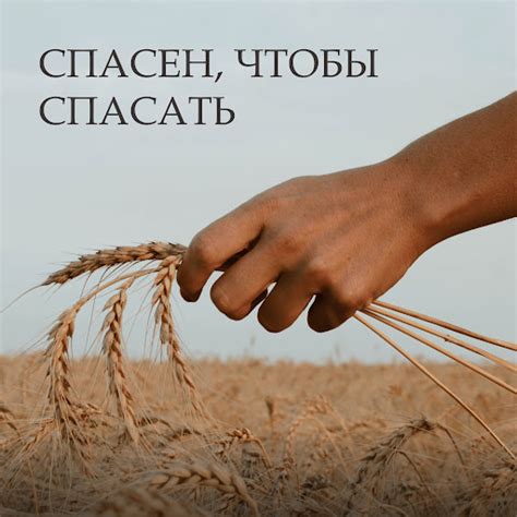 Где ты, прекрасная - YouTube Music