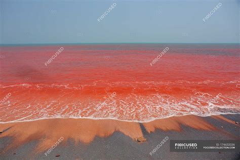 Красная Вода В Море Фото — Фото