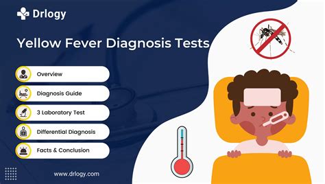 Yellow Fever Diagnosis: 3 Accurate Test For Better Health