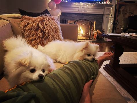 Julie Banderas's feet