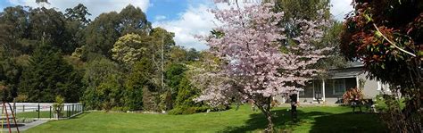 Nelson Sun Club home of naturism in Nelson New Zealand