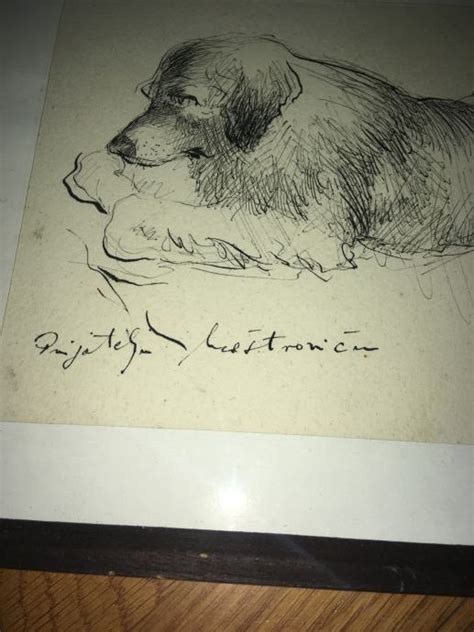 VLADIMIR HERCEG - Pas - Crtež tušem iz 1985.g. - 28x23cm