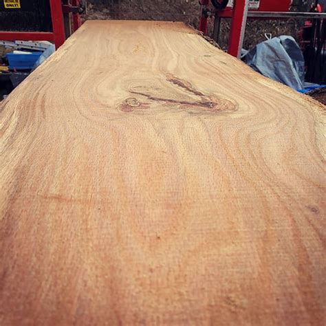 rough cut pine winwood sawmill