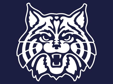 arizona wildcats  exit survey  sports daily