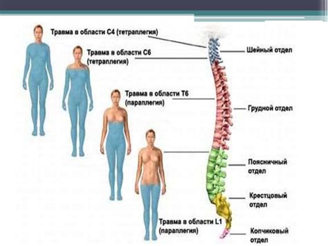 Травмы центральной нервной системы - презентация онлайн