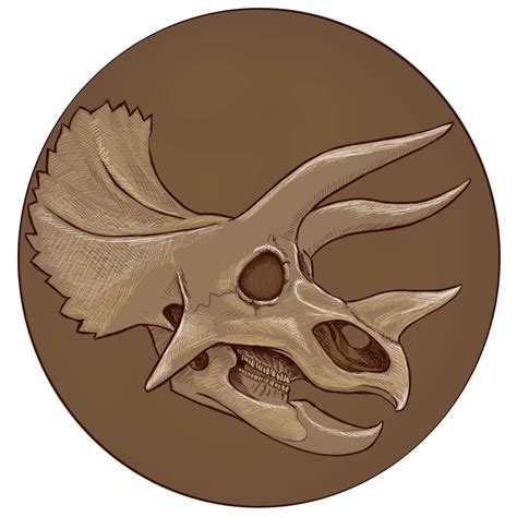Triceratops Skull : r/Dinosaurs