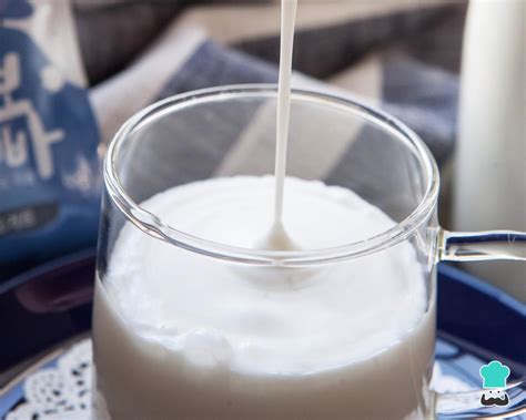 O Que Substituir Creme De Leite - Substituir o creme de leite: mais de 10 alternativas saudáveis!