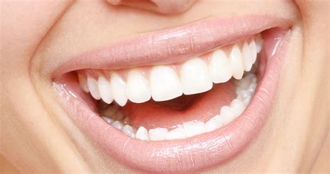Beyond the Tooth: Exploring Lesser-Known Functions of Teeth - Beerwah ...