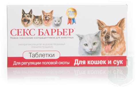 Лекарство от течки у кошек: Самые эффективные капли для кошек во время ...
